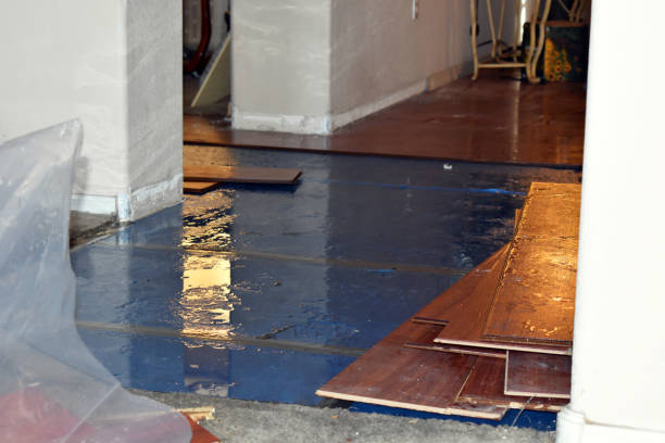 Professional Basement Flood Cleanup technician working in North Adams, MI
